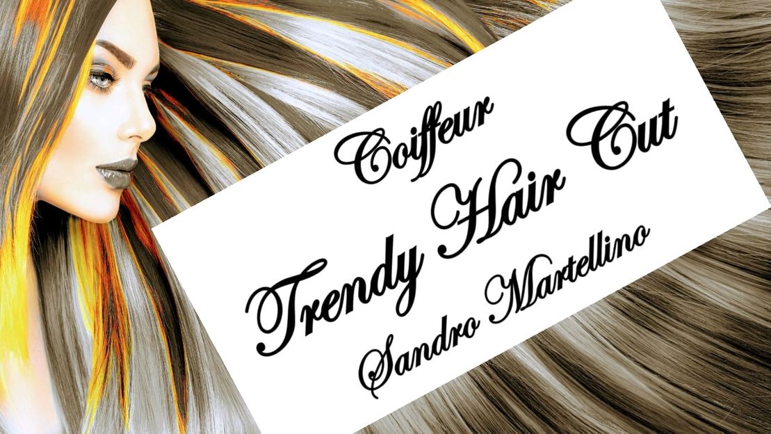 Logo2 - Trendy Hair Cut